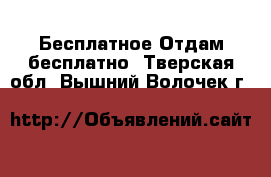 Бесплатное Отдам бесплатно. Тверская обл.,Вышний Волочек г.